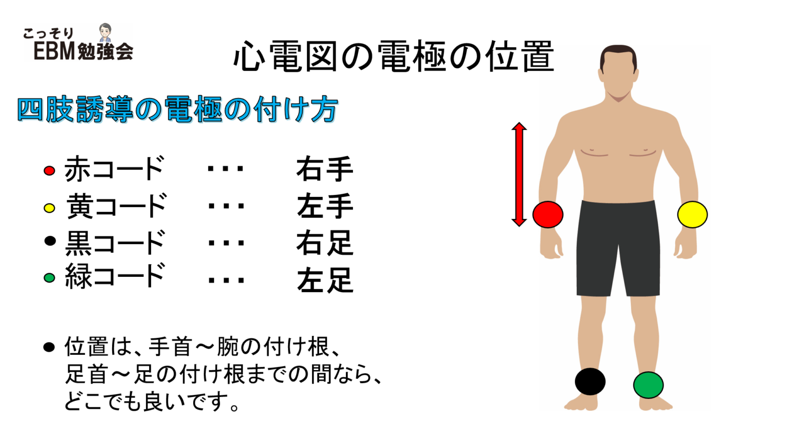 心電図の電極の位置 こっそりEBM勉強会 心電図の電極の位置 こっそりEBM勉強会