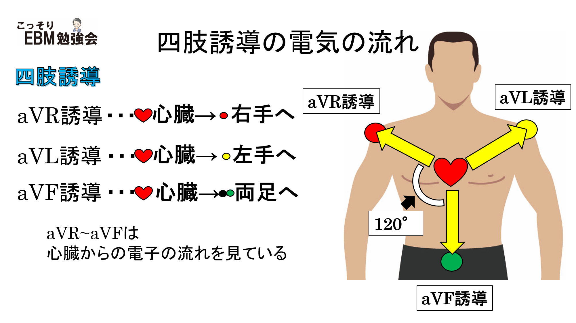 四肢誘導の電気の流れ | こっそりEBM勉強会